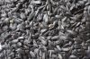 Sunflower seeds (NON-G...