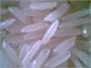 Rice Supplier| Rice Ex...
