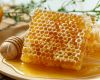 raw comb honey with wa...