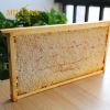 China comb honey with wax supply natural honey Honeycomb
