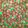 Betel Nuts/Areca Nuts ...