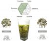 Organic Green Tea----M...