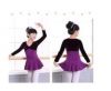 2018 New Swan Lake Tutu Ballet Dance Costumes Ballet Leotards Dress Gymnastics Leotards