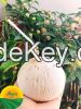 Fresh young Coconut