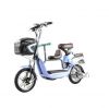 Pedal Assist Electric Bike with Child Seat Lead Acid Lithium Battery