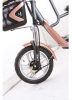 Pedal Assist Electric Bike with Child Seat Lead Acid Lithium Battery