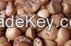 Betel Nut