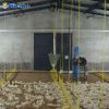 Auto Poultry Feeding Equipment System for Broiler Farm