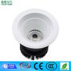 5w,10w,20w,30w china direct leddown light for retail lighting solution