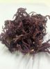 DRIED SEA MOSS/ 100% NATURAL SEA MOSS FROM VIETNAM WITH COMPETITIVE PRICE