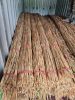 RAW RATTAN BEST PRICE FROM VIETNAM