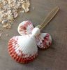 Customized High Quality Incredible promotional exotic brand new sea conch shell from Vietnam