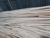 100% NATURAL RAW RATTAN BEST PRICE FROM VIETNAM