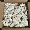 Health Birds Feature Application Oval Shape organic pet food Cuttlefish Bone  from Vietnam
