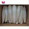 Hotsale cuttlefish bones from Vietnam with high quality and no chemical materials