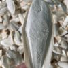 Cheap natural cuttlefish bones from Vietdelta Vietnam