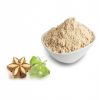 VIETNAM ORIGIN SACHA INCHI POWDER RICH IN PROTEIN AND OMEGA-3 FOR NUTRITIONAL USE