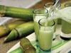 CRISP AND SWEET FROZEN SUGARCANE JUICE / AUTHENTIC TASTE / BULK DEALS / MADE IN VIETNAM