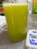 CRISP AND SWEET FROZEN SUGARCANE JUICE / AUTHENTIC TASTE / BULK DEALS / MADE IN VIETNAM