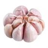 NEW STOCK PEELED GARLIC MADE IN VIETNAM // PREMIUM PEELED GARLIC FOR THE PERFECT CHOICE // GOOD PRICE