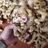 FRESH VIETNAMESE GINGER ROOT - NATURAL FLAVOR AND NUTRITIONAL BENEFITS - HIGH QUALITY 