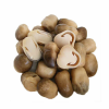 CANNED BUTTON MUSHROOMS / VERSATILE AND READY TO USE / MADE IN VIETNAM