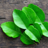 BEST FROZEN LEMON LEAF FOR HERBAL TEAS & DISHES / SUPERIOR AROMA / COMPETITIVE PRICES / MADE IN VIETNAM