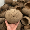 ECO COCONUT PLANTER SHELLS / SUSTAINABLE POTS FOR PLANTING / MADE IN VIETNAM