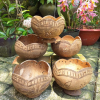 COCONUT PLANTING SHELLS / ECO-FRIENDLY GARDEN STARTER / MADE IN VIETNAM