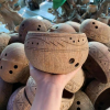 ECO COCONUT PLANTER SHELLS / SUSTAINABLE POTS FOR PLANTING / MADE IN VIETNAM