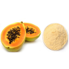 WHOLESALE PAPAYA POWDER / PREMIUM QUALITY & CHEMICAL-FREE / COST-EFFECTIVE BULK OPTIONS / MADE IN VIETNAM 