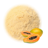 WHOLESALE PAPAYA POWDER / PREMIUM QUALITY & CHEMICAL-FREE / COST-EFFECTIVE BULK OPTIONS / MADE IN VIETNAM 