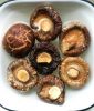 SMOOTH AND EARTHY SHIITAKE MUSHROOMS / HANDCRAFTED QUALITY / IDEAL FOR SOUPS & STIR-FRIES / MADE IN VIETNAM