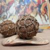 ECO-FRIENDLY COCONUT COIR BALL TOY / HANDCRAFTED / SAFE FOR PETS / MADE IN VIETNAM