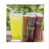 CRISP AND SWEET FROZEN SUGARCANE JUICE / AUTHENTIC TASTE / BULK DEALS / MADE IN VIETNAM