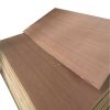 ECO-FRIENDLY AND SUSTAINABLE PLYWOOD SOLUTIONS / PERFECT FOR CONSTRUCTION / MADE IN VIETNAM