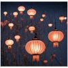 VIBRANT AND CHARMING OUTDOOR LANTERNS / WEATHER-RESISTANT / AFFORDABLE VALUE