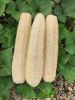 CLEAN BEAUTY LOOFAH / RAW PLANT SPONGE / ECO GROOMING / SKIN FRIENDLY