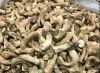 ORGANIC SHIITAKE STEM / BRAIN FUNCTION / CLEAN LABEL / PLANT-BASED