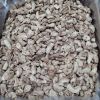 ORGANIC SHIITAKE STEM / BRAIN FUNCTION / CLEAN LABEL / PLANT-BASED