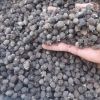 NATURAL MYRTLE BERRY EXTRACT / IMMUNITY BOOST / ORGANIC & CLEAN