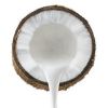 PURE COCONUT MILK / CLEAN LABEL / PLANT-BASED / NON-DAIRY BEVERAGE