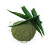 BOTANIBRIGHT PANDAN POWDER