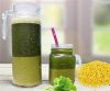 NATURAL PLANT BASED PE...