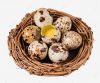 ALL NATURAL CANNED QUAIL EGGS FROM VIETNAM FOR GLOBAL EXPORTERS WHOLESALE RETAILERS AND CLEAN LABEL FOOD OEMS