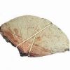 PLANT BASED DRIED LOTU...