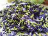 PURE DRIED PEA FLOWER ...