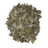 PREMIUM QUALITY DRIED ...
