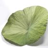 NATURAL DRIED LOTUS LE...