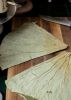 PREMIUM QUALITY DRIED ...